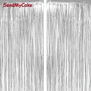 Metallic Silver Tinsel Foil Fringe Curtain Backdrop (1 Piece)