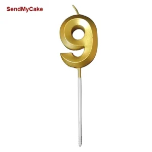 Premium Golden Metallic Number 9 Digit Birthday Candle - 1 Piece